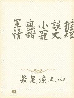 军恋小说推荐言情甜宠文短篇小说封面