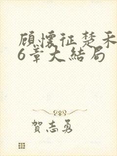 顾怀征楚禾第26章大结局封面