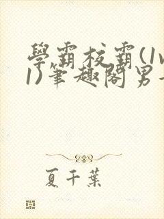 学霸校霸(1v1)笔趣阁男女封面