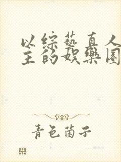 以综艺真人秀为主的娱乐圈文