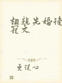 相亲先婚后爱甜宠文封面