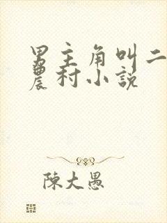 男主角叫二狗的农村小说封面