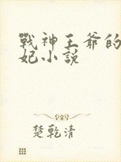 战神王爷的小医妃小说