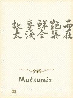 故事鲜艳而缘分太浅全集在线观看