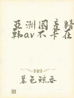 亚洲国产精品日韩av不卡在线