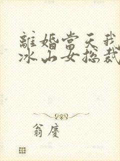 离婚当天我闪婚冰山女总裁