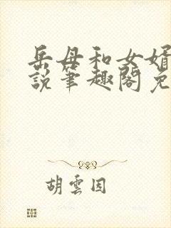 岳母和女婿的小说笔趣阁免费阅读全文无弹窗封面