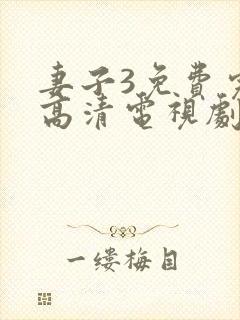 妻子3免费完整高清电视剧在线看