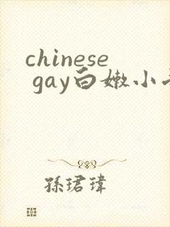 chinese gay白嫩小受