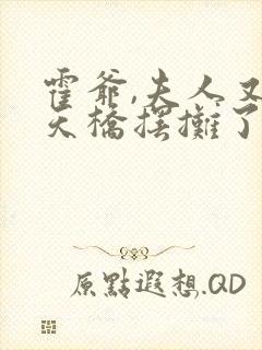 霍爷,夫人又去天桥摆摊了免费版