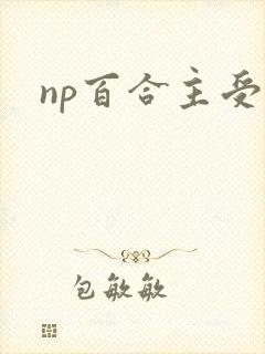 np百合主受