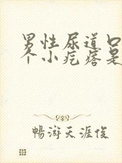 男性尿道口长一个小疙瘩是怎么回事封面