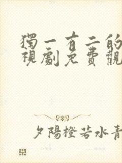 独一有二的她电视剧免费观看