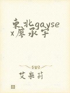 东北gaysex廖承宇