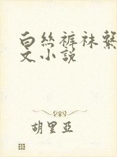 白丝裤袜系列h文小说