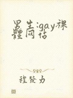 男生:gay裸体网站