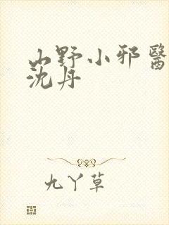 山野小邪医叶凡沈丹封面