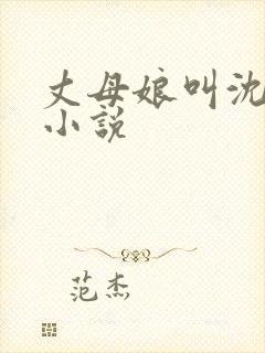 丈母娘叫沈曼的小说