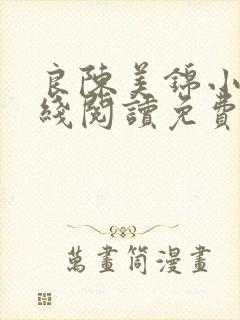 良陈美锦小说在线阅读免费封面