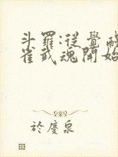 斗罗:从觉醒朱雀武魂开始