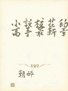 小说校花的贴身高手最新章节阅续封面