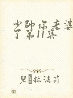 少帅你老婆又跑了第11集