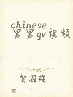 chinese男男gv视频网站