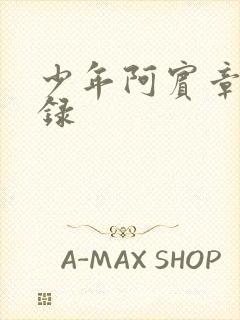 少年阿宾章节目录