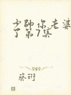 少帅你老婆又跑了第7集封面