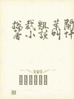 总裁粗叶阑珊原著小说叫什么名字