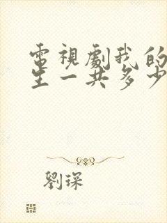 电视剧我的后半生一共多少集