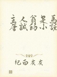 主人翁是马玉婷唐诚的小说