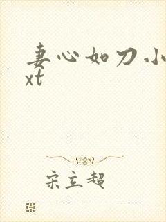 妻心如刀小说txt