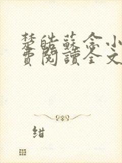 楚皓苏念小说免费阅读全文最新封面