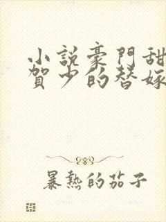 小说豪门甜宠:贺少的替嫁新娘