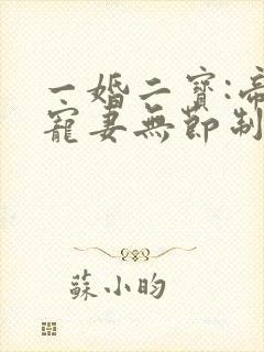 一婚二宝:帝少宠妻无节制封面