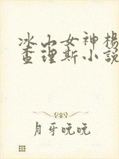 冰山女神杨凝冰查理斯小说封面