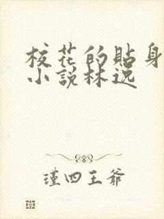 校花的贴身高手小说林逸