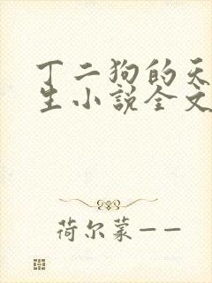 丁二狗的天梯人生小说全文免费阅读