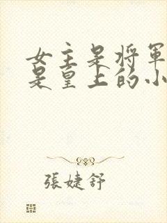 女主是将军男主是皇上的小说