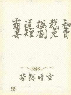 霸道总裁和小娇妻短剧免费观看全集