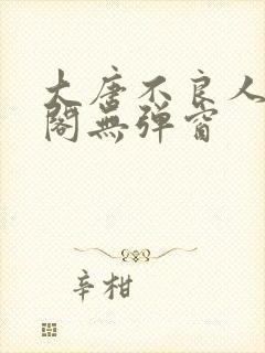 大唐不良人笔趣阁无弹窗