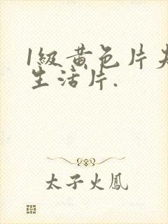 1级黄色片夫妻生活片.