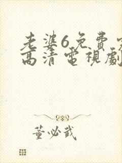 老婆6免费完整高清电视剧在线观看封面