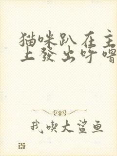 猫咪趴在主人身上发出呼噜呼噜声音封面