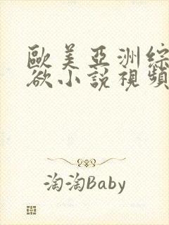 欧美亚洲综合乱欲小说视频