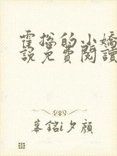 霍总的小娇妻小说免费阅读