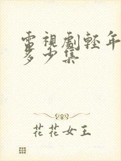 电视剧轻年一共多少集