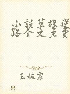 小说草根逆袭之路全文免费阅读封面