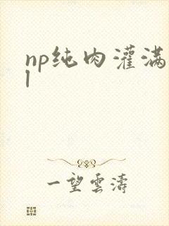 np纯肉灌满bl